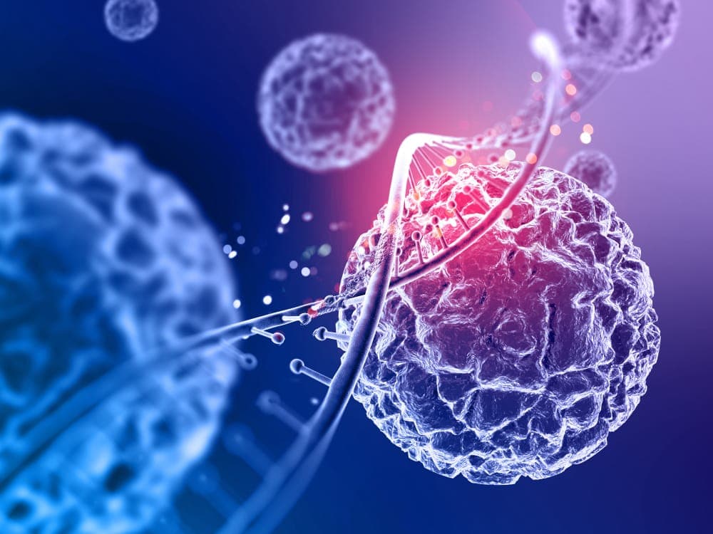 Stem Cell Therapy: The Future of Anti-Aging — What Dubai Clinics Are Offering in 2026